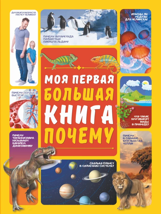Моя первая большая книга ПОЧЕМУ