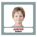 3.webp