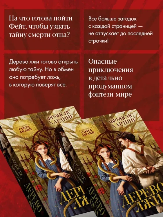 5.webp