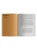 3.webp