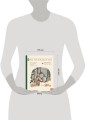 Антропология. Всё, что нужно знать о происхождении, становлении и развитии человека