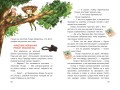 Клара Катастрофея и великий переполох (#1)