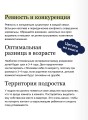Несколько детей в семье. Воспитание без ревности и обид
