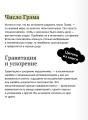 Удивительные числа Вселенной. Путешествие за грань воображения