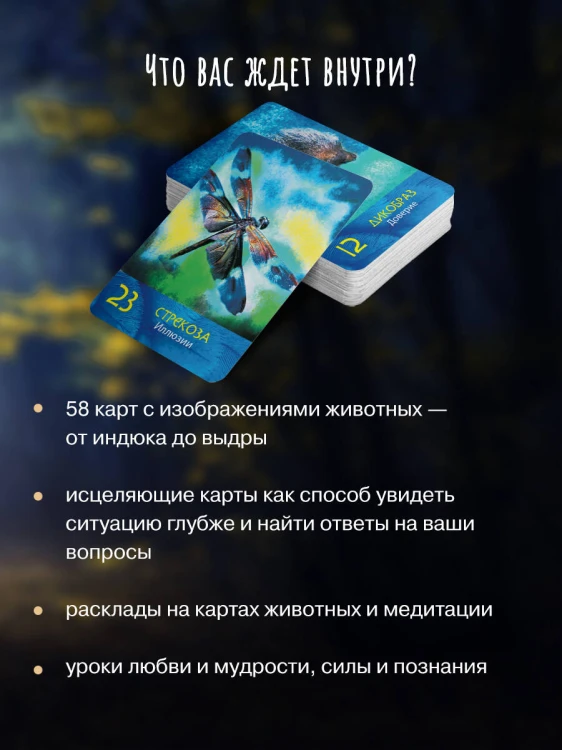 Сила шамана: исцеляющие карты животных