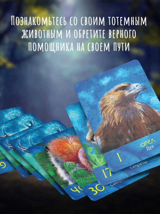 Сила шамана: исцеляющие карты животных
