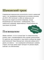 Шаманы северных народов России. Железные кости, духи-помощники и полеты между мирами