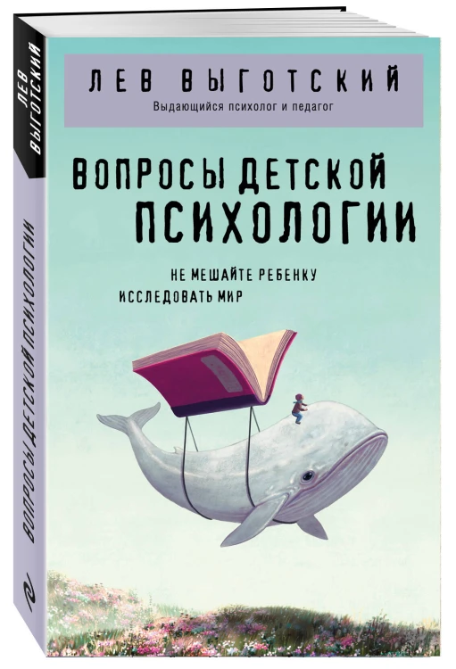 Вопросы детской психологии