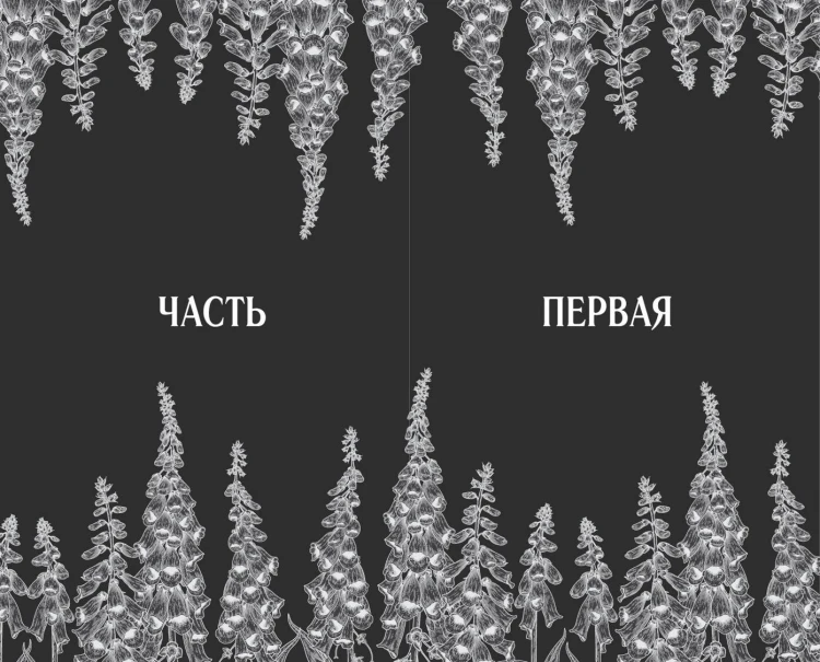 Наперстянка (#2)
