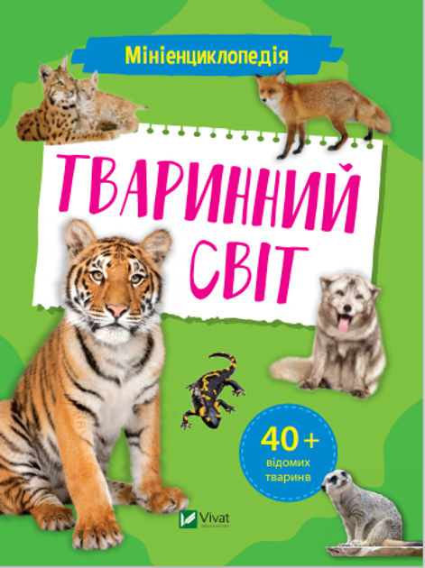 7.webp