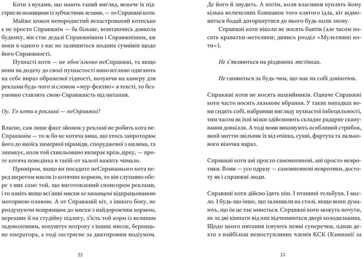 3.webp