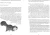 5.webp