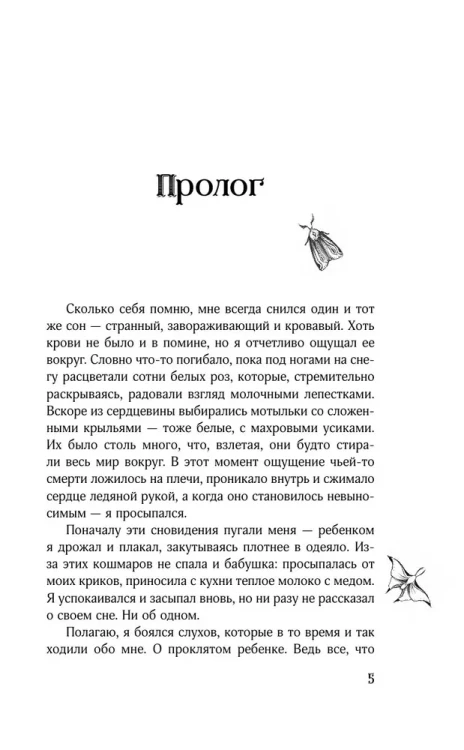 5.webp