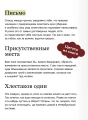 5.webp
