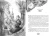 4.webp