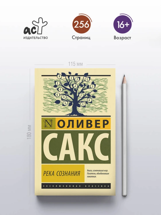 Река сознания