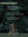 Темная сторона растений: колдовство, яды и удивительные свойства