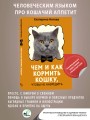 Чем и как кормить кошку, чтобы не навредить