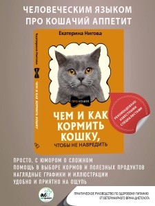 Чем и как кормить кошку, чтобы не навредить
