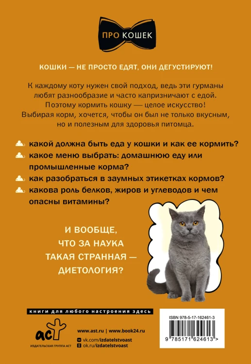 Чем и как кормить кошку, чтобы не навредить