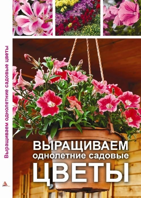 5.webp