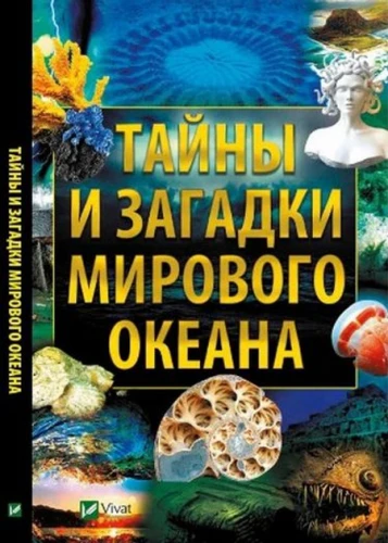 5.webp
