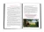 7.webp