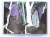7.webp