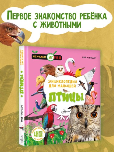 Птицы
