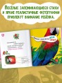 Птицы