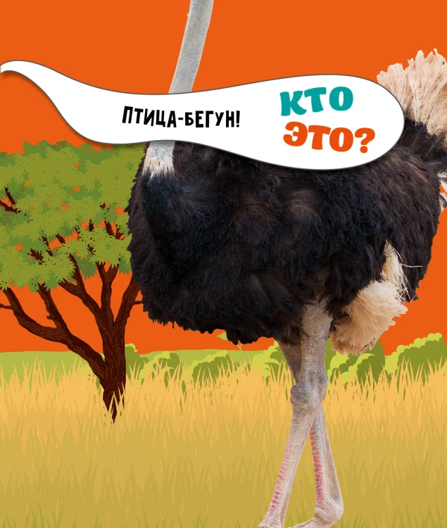 Птицы