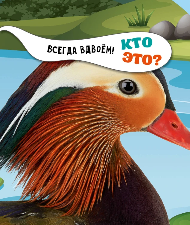 Птицы