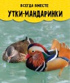 Птицы