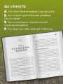 Комплект Green Witch. Полный путеводитель по природной магии трав, цветов, эфирных масел и многому другому и The witch's handbook. (ИК)