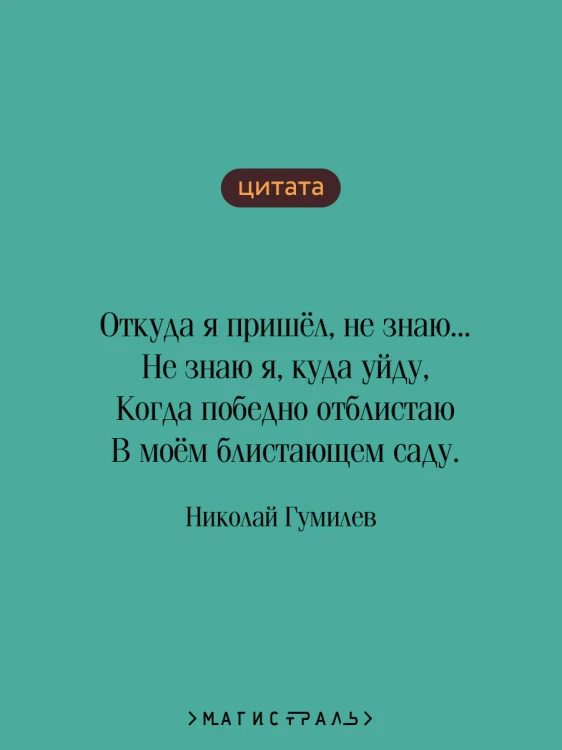 Путь конквистадоров