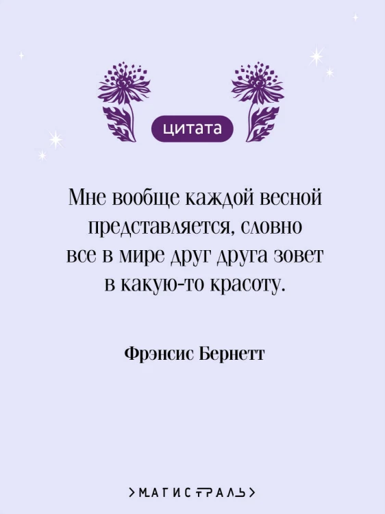 Таинственный сад. Подарочное издание