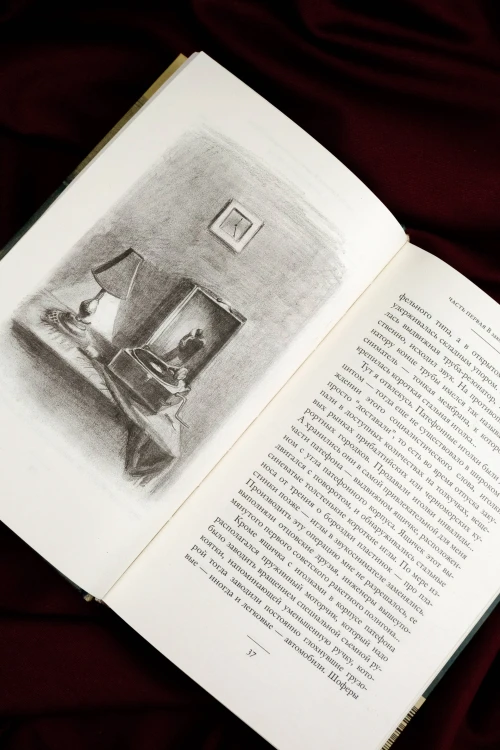 Камера хранения. Мещанская книга
