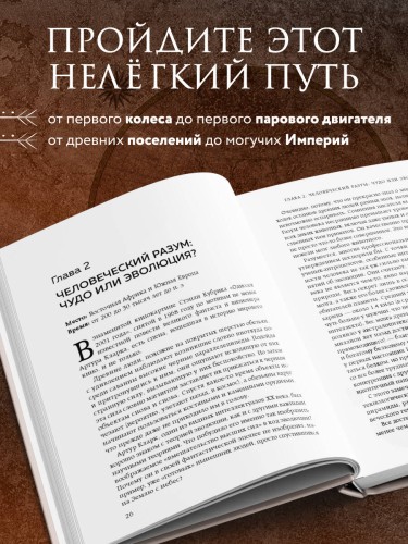 Homo sapiens. История человечества: кратко и увлекательно
