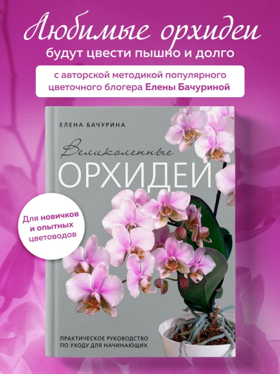 Великолепные орхидеи. Практичное руководство по уходу для начинающих