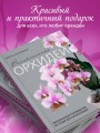 Великолепные орхидеи. Практичное руководство по уходу для начинающих