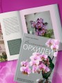 Великолепные орхидеи. Практичное руководство по уходу для начинающих