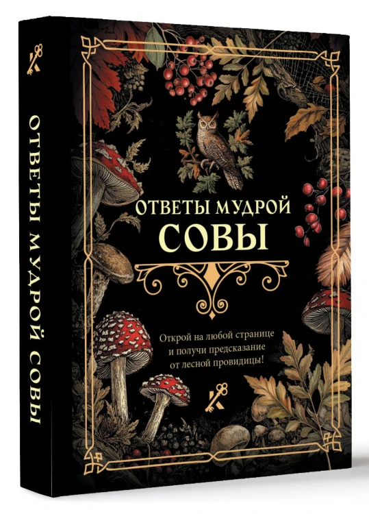 Ответы мудрой совы