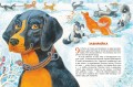 Усы, перья и хвосты. Рассказы русских писателей о животных (ил. М. Белоусовой)