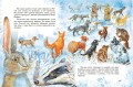 Усы, перья и хвосты. Рассказы русских писателей о животных (ил. М. Белоусовой)