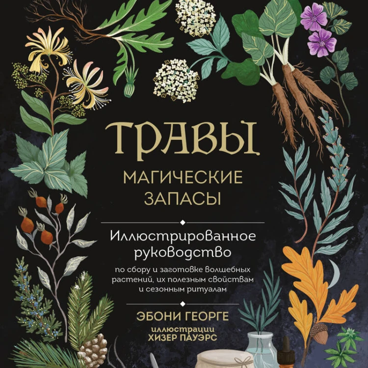 Травы. Магические запасы. Иллюстрированное руководство по сбору и заготовке волшебных растений, их полезным свойствам и сезонным ритуалам