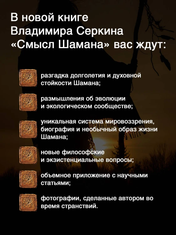 Смысл Шамана