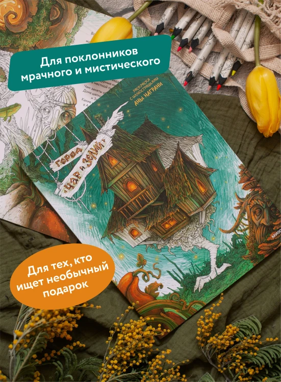 Город чар и зелий. Раскраска с иллюстрациями Аны Награни