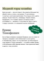 Сказы. Вечные истории