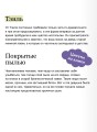 Книжный бар "Переплет судьбы"
