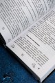 МАЙНКРАФТ. Приключения с погружением